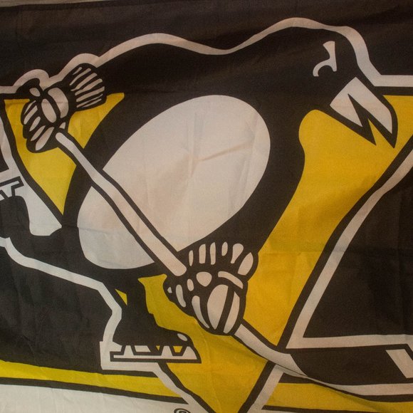 Pittsburgh Penguins 3 x 5 Foot NHL Flag - Picture 1 of 2